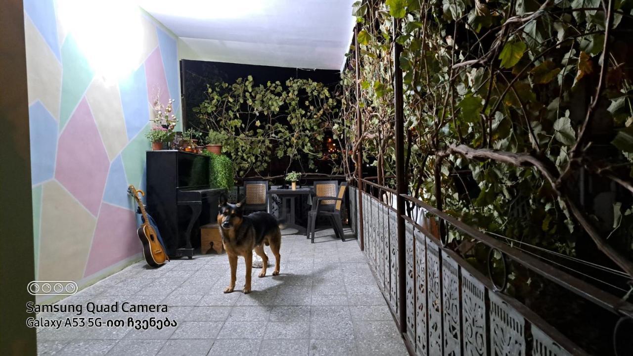 Apartment With A Nice Terrace In Old City Center Тбілісі Екстер'єр фото